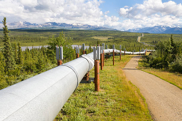 Trans-Alaska Gas Pipeline